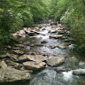 Meet your Posher, Debra